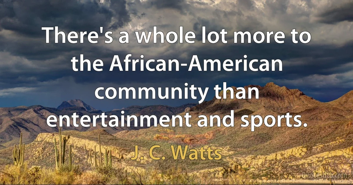 There's a whole lot more to the African-American community than entertainment and sports. (J. C. Watts)