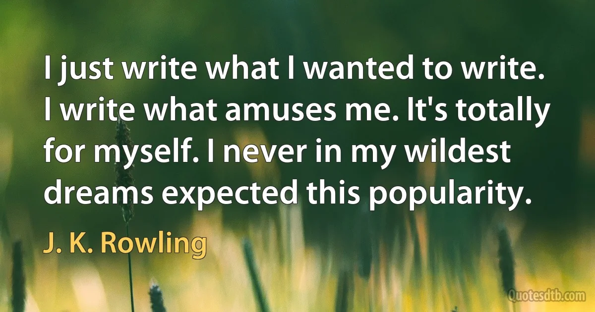 I just write what I wanted to write. I write what amuses me. It's totally for myself. I never in my wildest dreams expected this popularity. (J. K. Rowling)