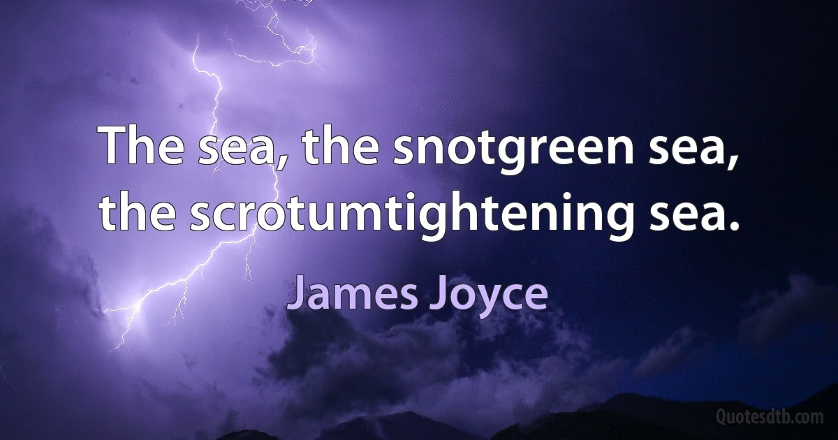 The sea, the snotgreen sea, the scrotumtightening sea. (James Joyce)