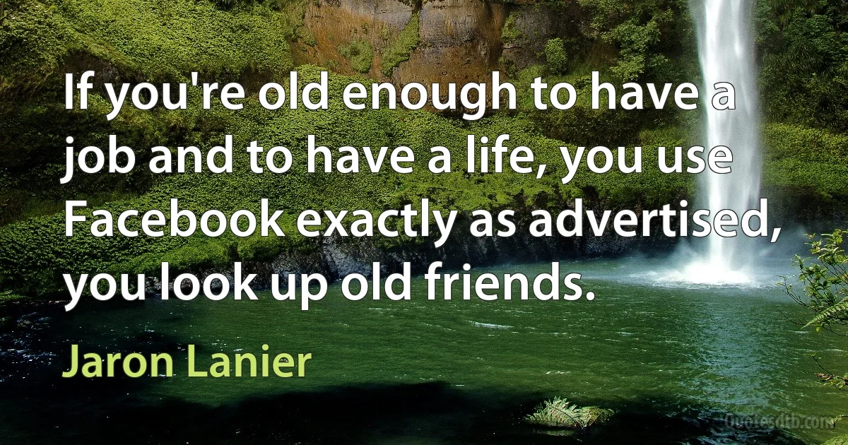 If you're old enough to have a job and to have a life, you use Facebook exactly as advertised, you look up old friends. (Jaron Lanier)