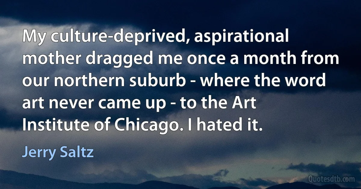 My culture-deprived, aspirational mother dragged me once a month from our northern suburb - where the word art never came up - to the Art Institute of Chicago. I hated it. (Jerry Saltz)