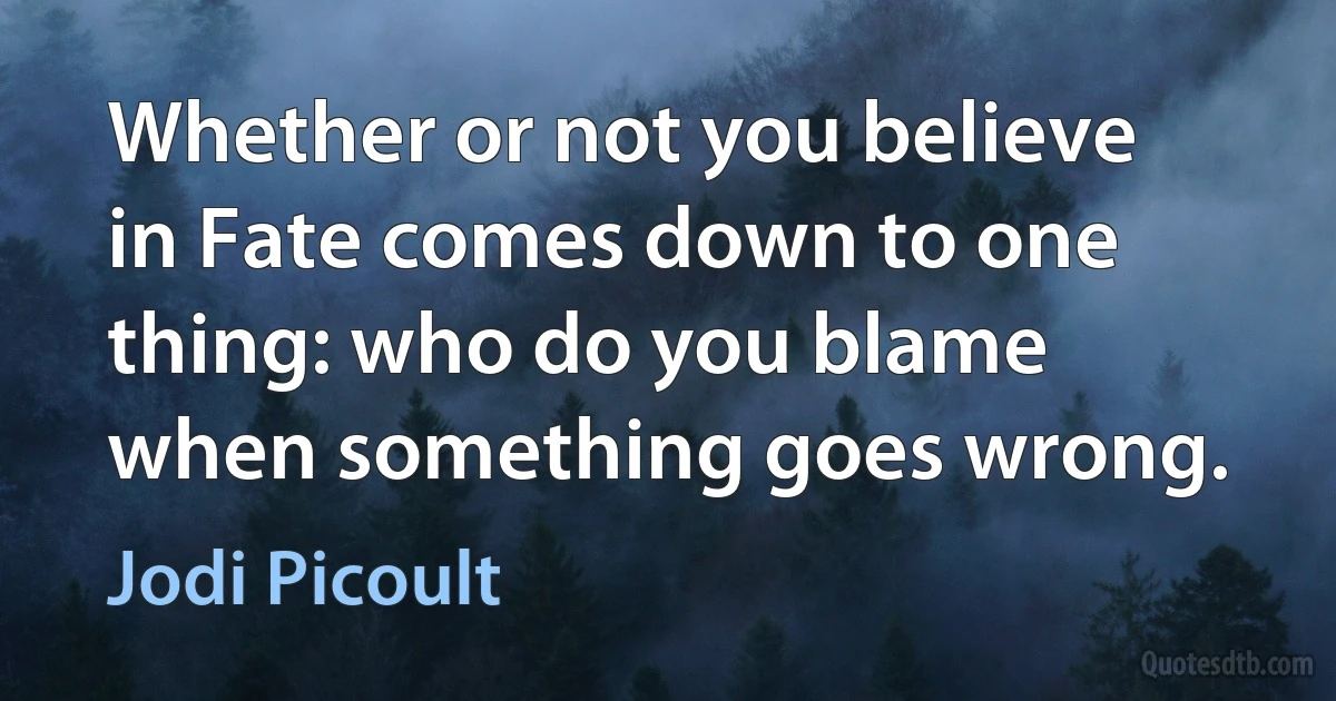 Whether or not you believe in Fate comes down to one thing: who do you blame when something goes wrong. (Jodi Picoult)