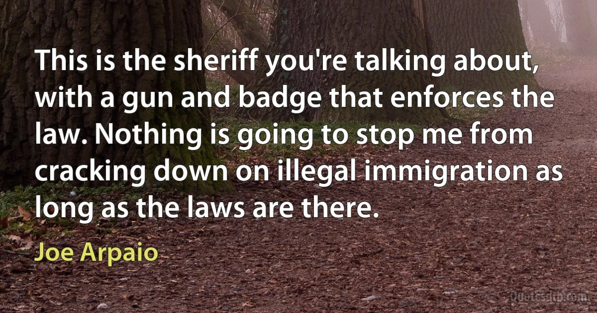 This is the sheriff you're talking about, with a gun and badge that enforces the law. Nothing is going to stop me from cracking down on illegal immigration as long as the laws are there. (Joe Arpaio)