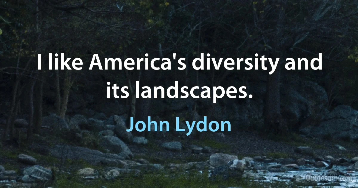 I like America's diversity and its landscapes. (John Lydon)