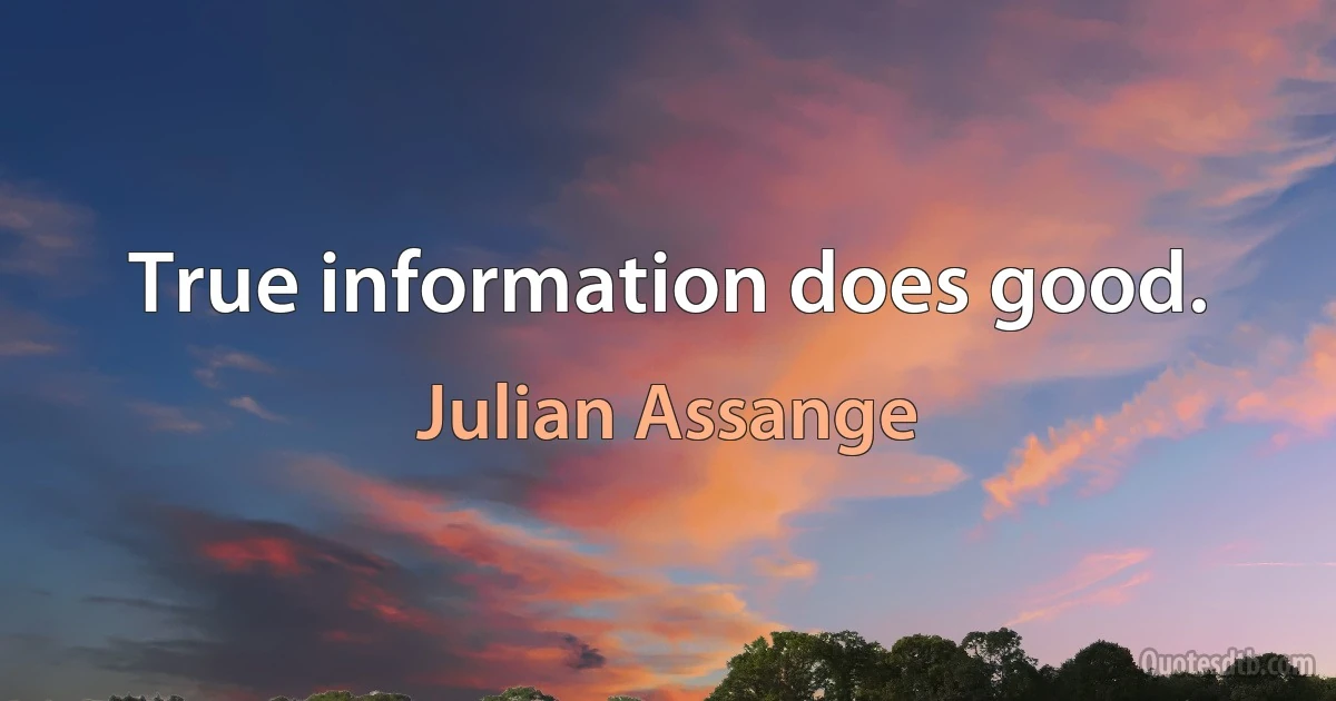 True information does good. (Julian Assange)