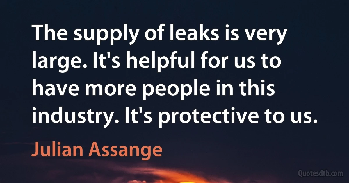 The supply of leaks is very large. It's helpful for us to have more people in this industry. It's protective to us. (Julian Assange)