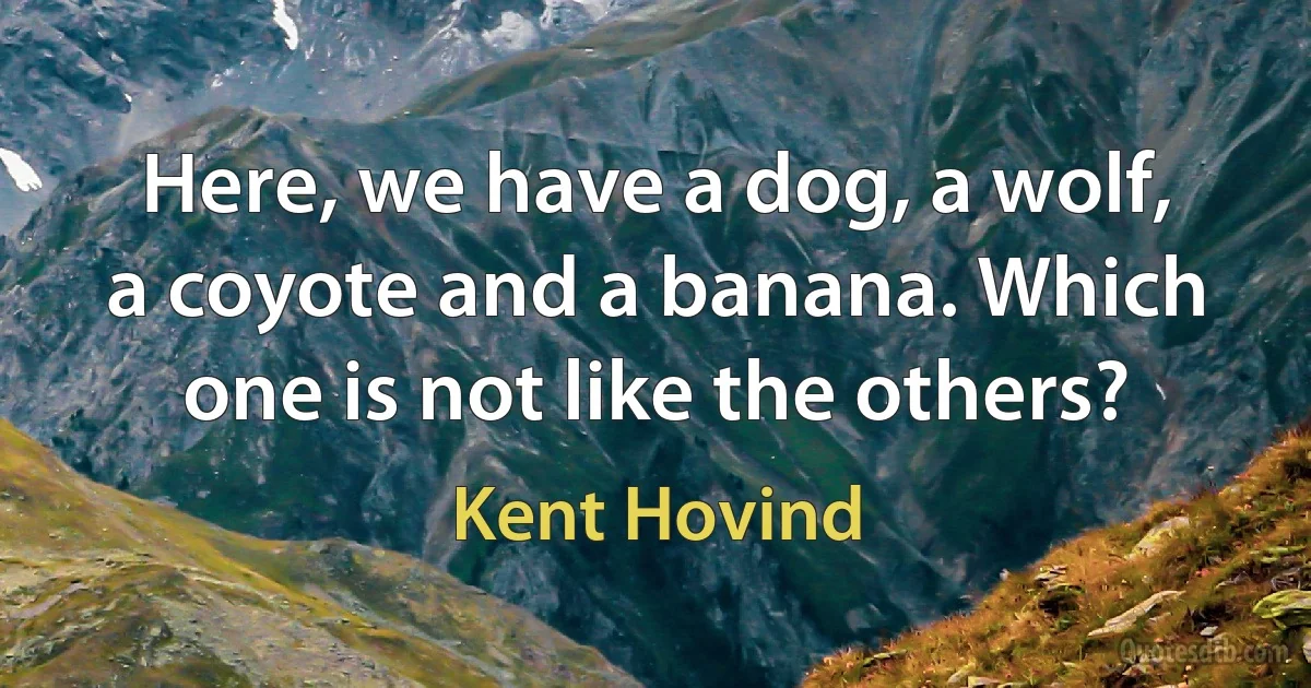 Here, we have a dog, a wolf, a coyote and a banana. Which one is not like the others? (Kent Hovind)