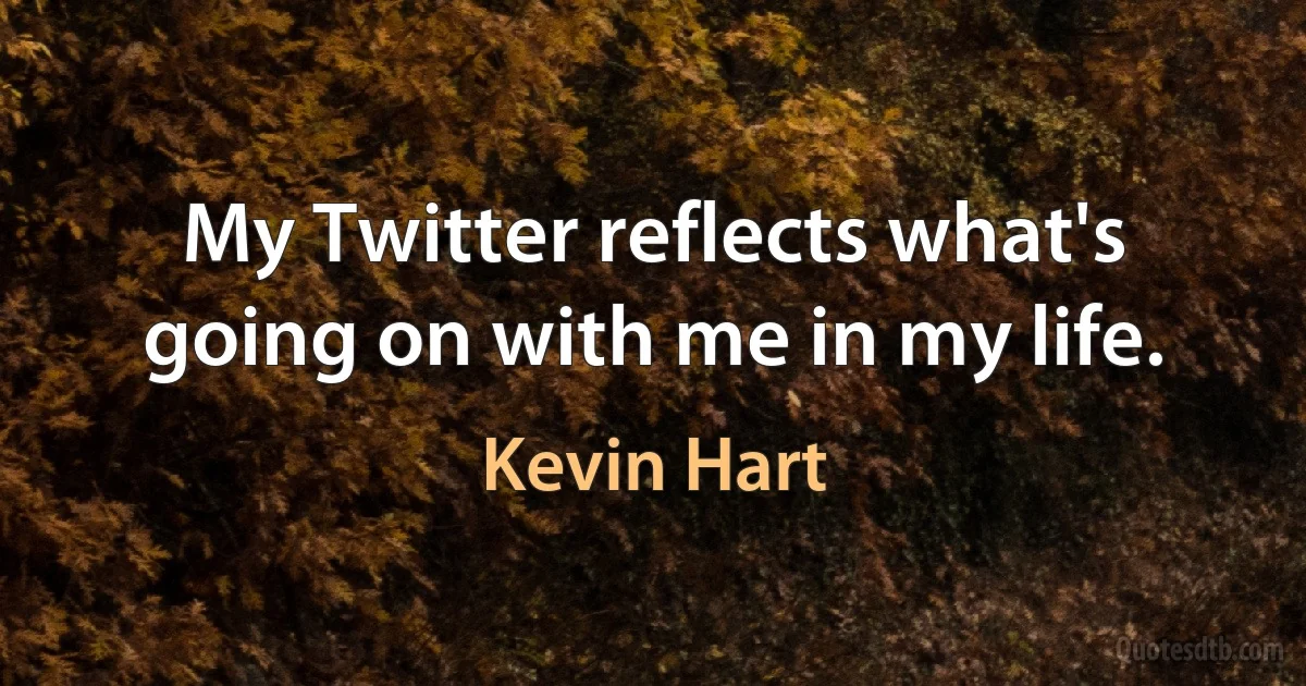 My Twitter reflects what's going on with me in my life. (Kevin Hart)