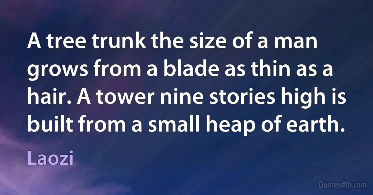 A tree trunk the size of a man grows from a blade as thin as a hair. A tower nine stories high is built from a small heap of earth. (Laozi)