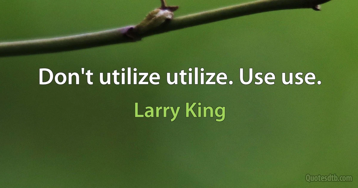 Don't utilize utilize. Use use. (Larry King)