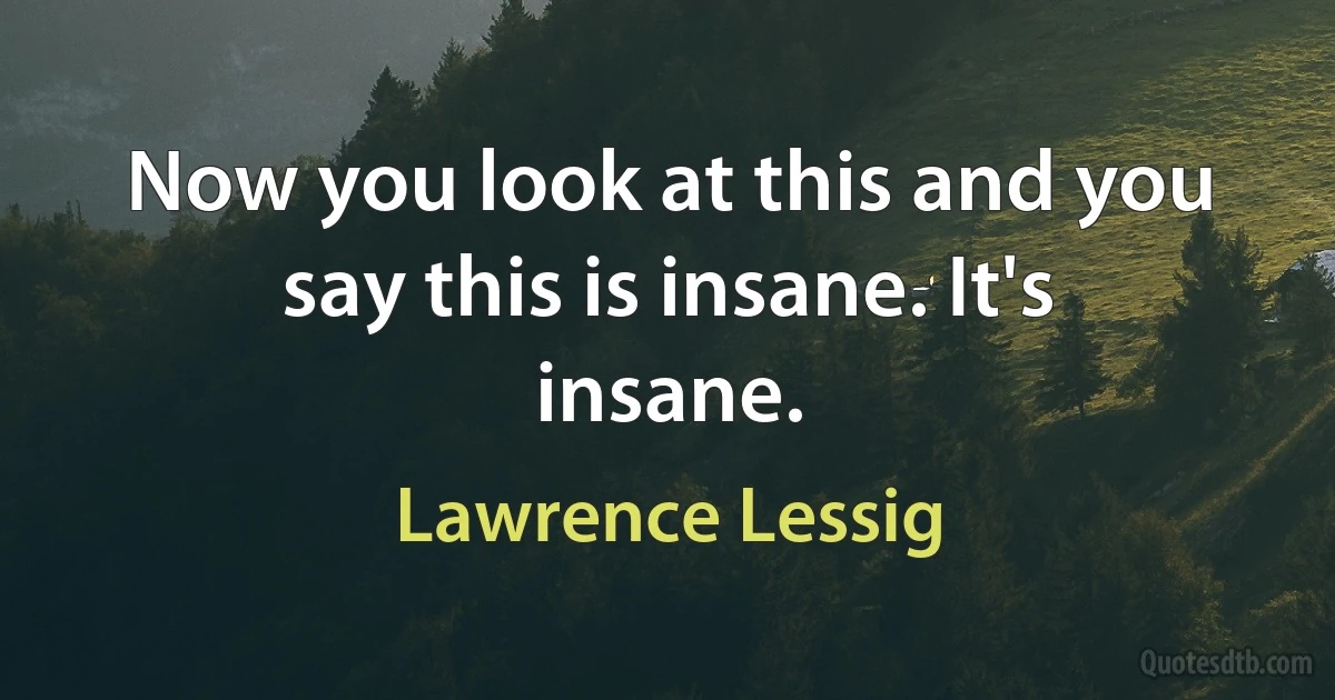 Now you look at this and you say this is insane. It's insane. (Lawrence Lessig)