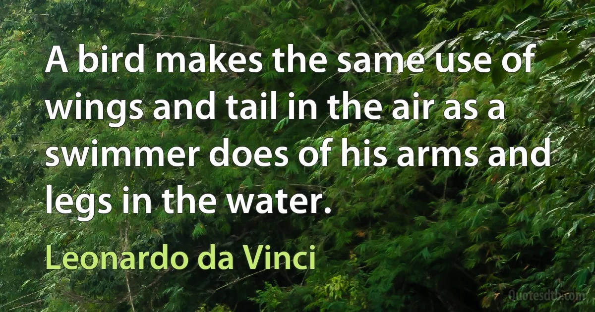 A bird makes the same use of wings and tail in the air as a swimmer does of his arms and legs in the water. (Leonardo da Vinci)