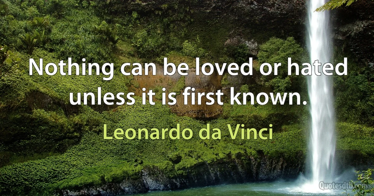 Nothing can be loved or hated unless it is first known. (Leonardo da Vinci)