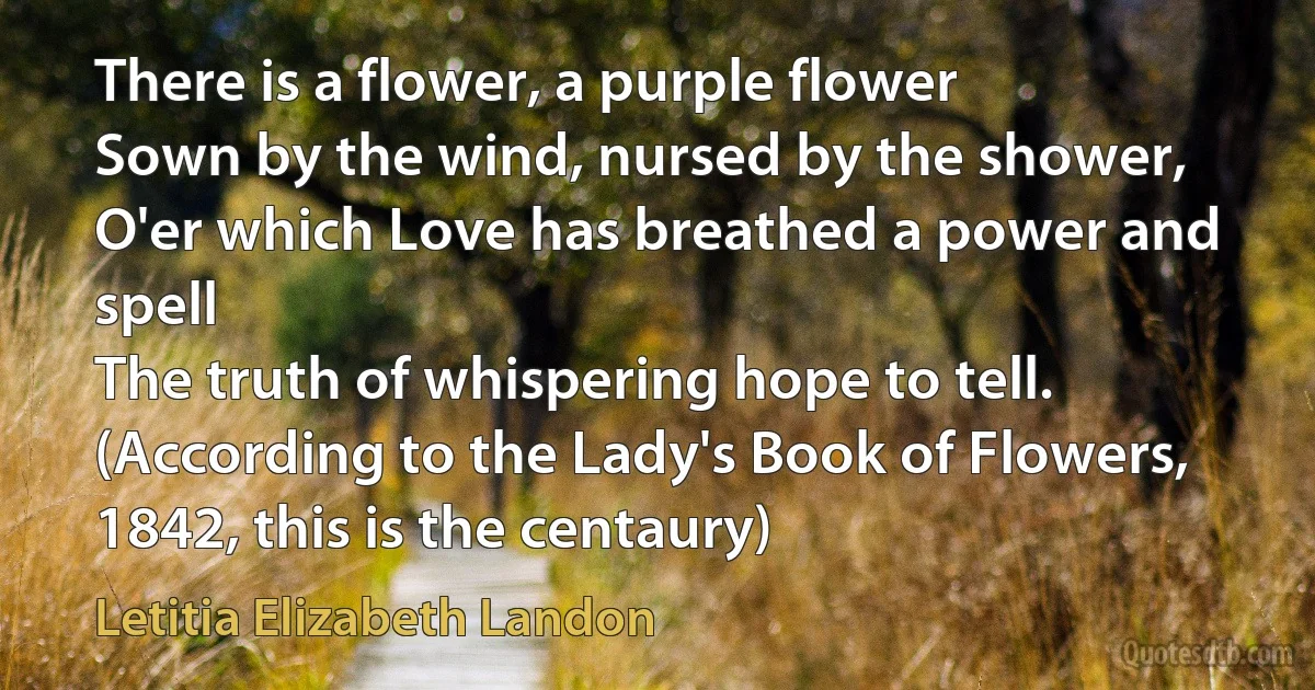 There is a flower, a purple flower
Sown by the wind, nursed by the shower,
O'er which Love has breathed a power and spell
The truth of whispering hope to tell.
(According to the Lady's Book of Flowers, 1842, this is the centaury) (Letitia Elizabeth Landon)