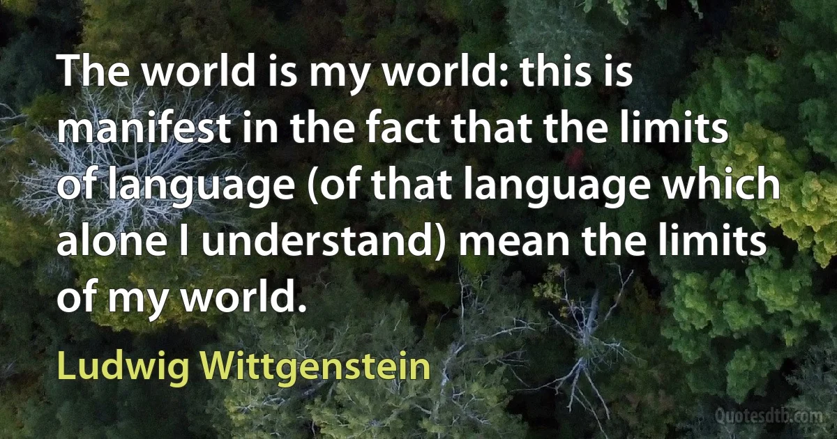 The world is my world: this is manifest in the fact that the limits of language (of that language which alone I understand) mean the limits of my world. (Ludwig Wittgenstein)