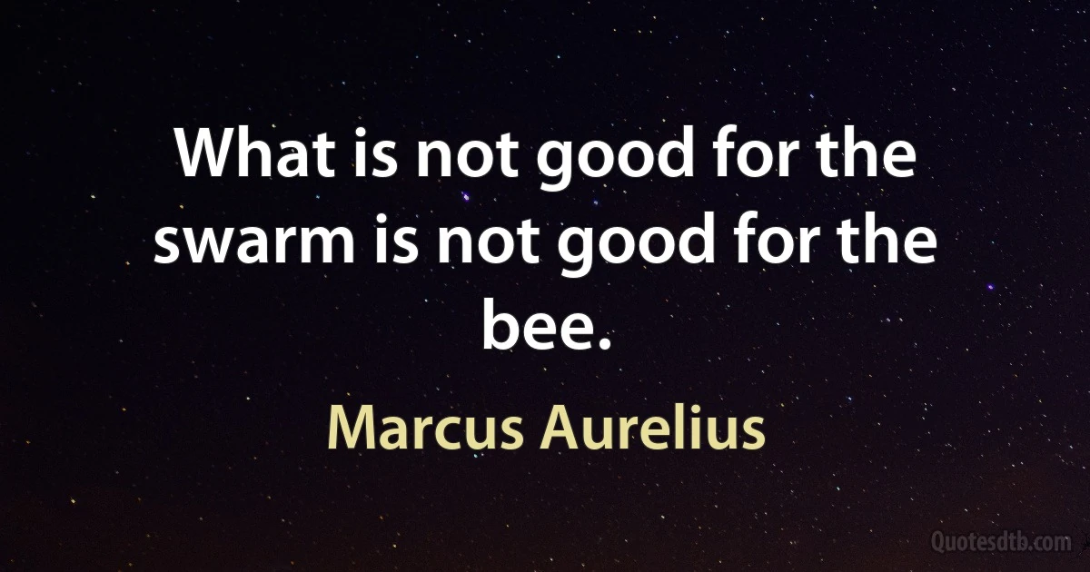 What is not good for the swarm is not good for the bee. (Marcus Aurelius)