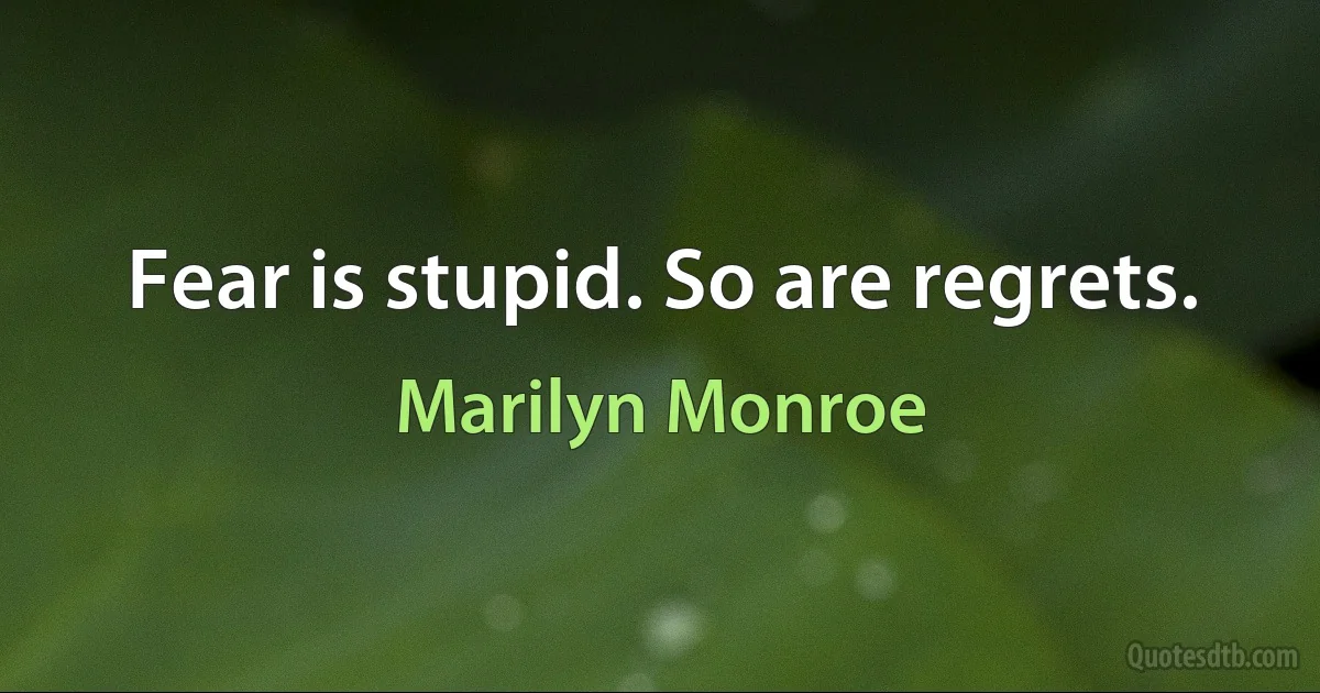 Fear is stupid. So are regrets. (Marilyn Monroe)