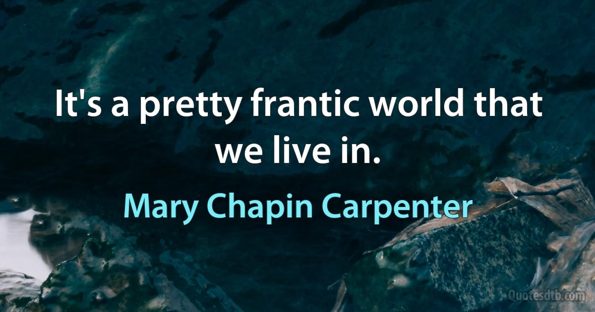 It's a pretty frantic world that we live in. (Mary Chapin Carpenter)