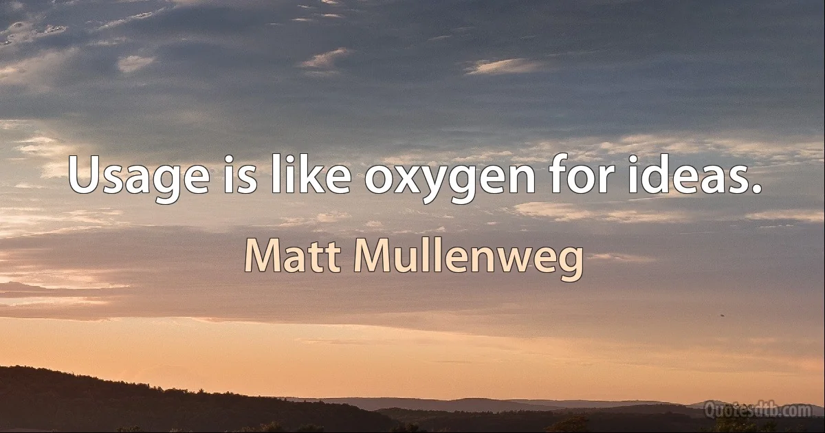 Usage is like oxygen for ideas. (Matt Mullenweg)