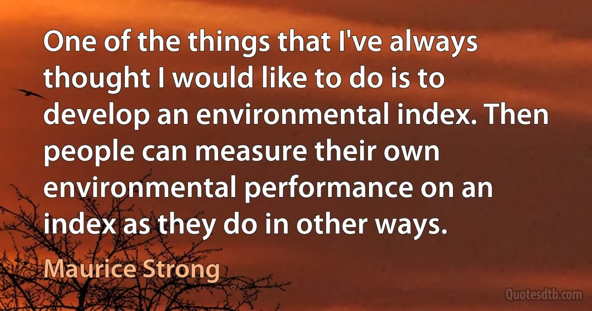 One of the things that I've always thought I would like to do is to develop an environmental index. Then people can measure their own environmental performance on an index as they do in other ways. (Maurice Strong)