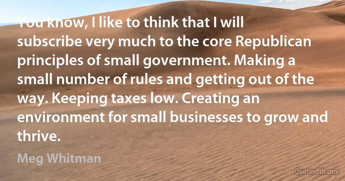 You know, I like to think that I will subscribe very much to the core Republican principles of small government. Making a small number of rules and getting out of the way. Keeping taxes low. Creating an environment for small businesses to grow and thrive. (Meg Whitman)