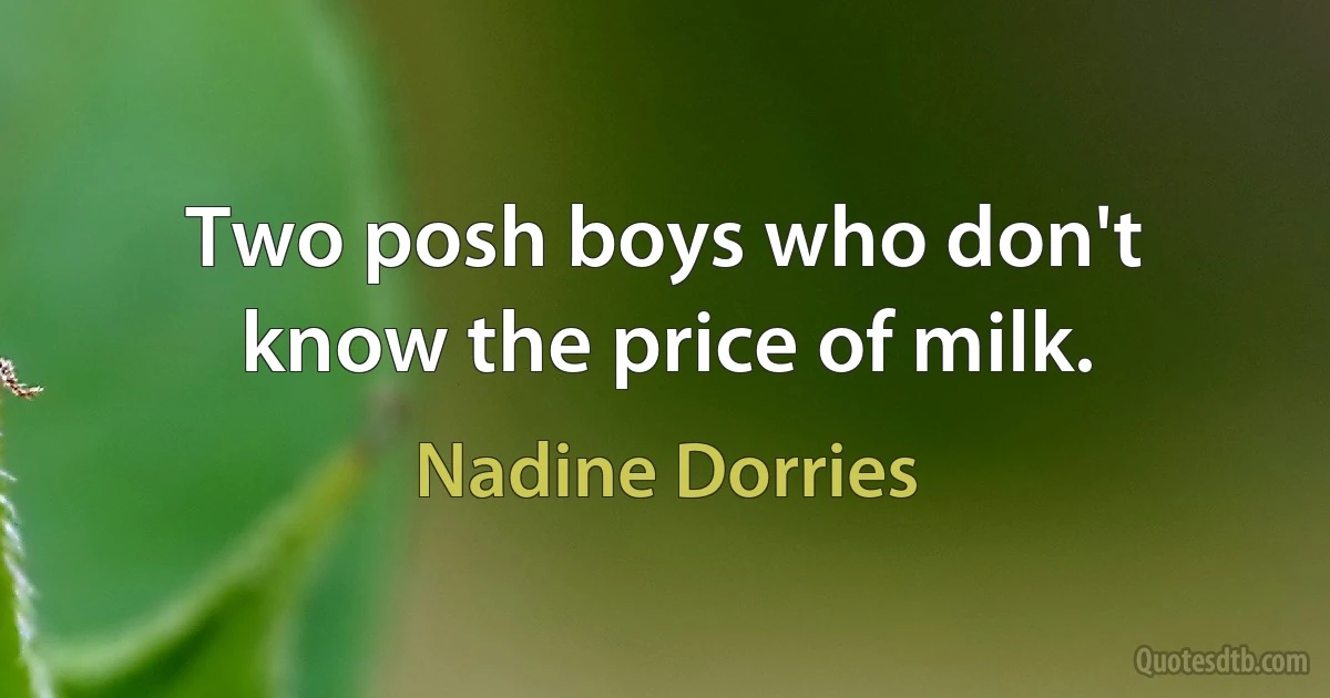 Two posh boys who don't know the price of milk. (Nadine Dorries)