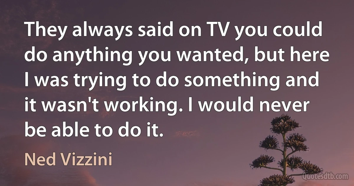 They always said on TV you could do anything you wanted, but here I was trying to do something and it wasn't working. I would never be able to do it. (Ned Vizzini)