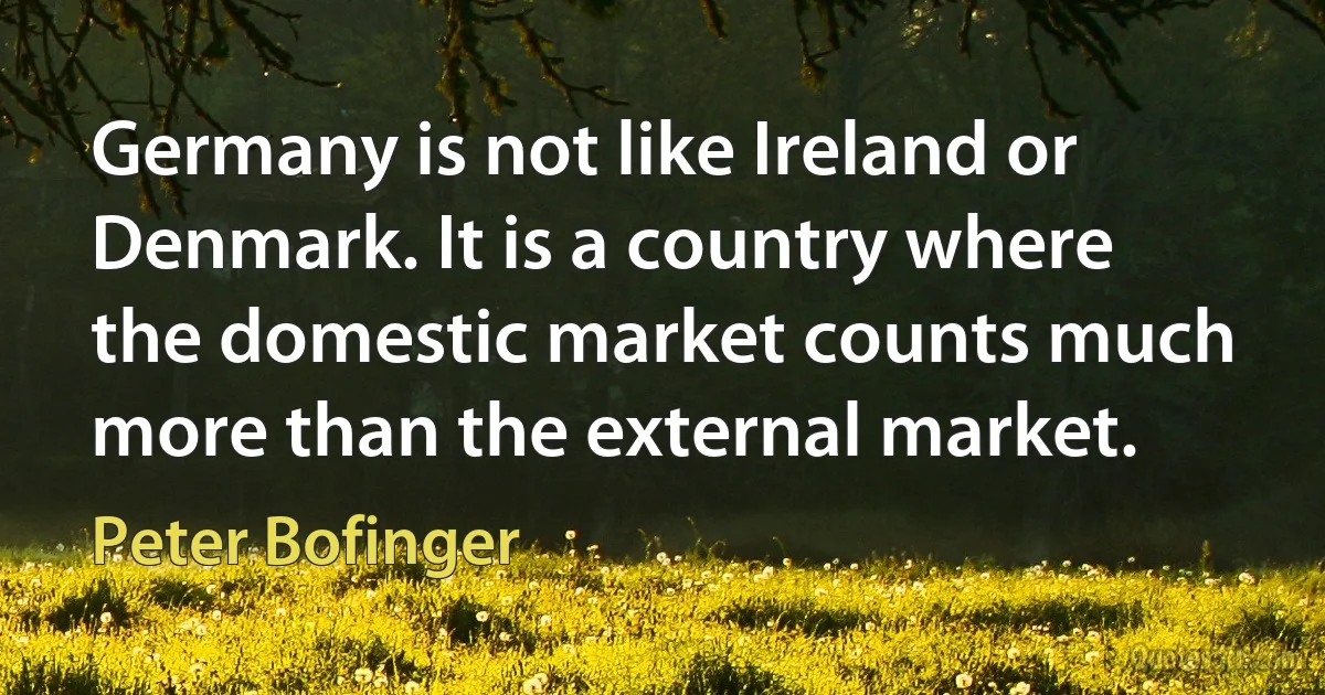 Germany is not like Ireland or Denmark. It is a country where the domestic market counts much more than the external market. (Peter Bofinger)