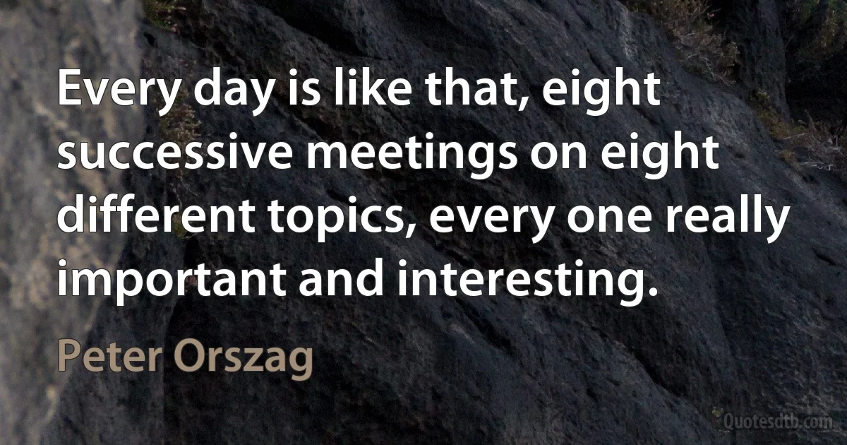 Every day is like that, eight successive meetings on eight different topics, every one really important and interesting. (Peter Orszag)