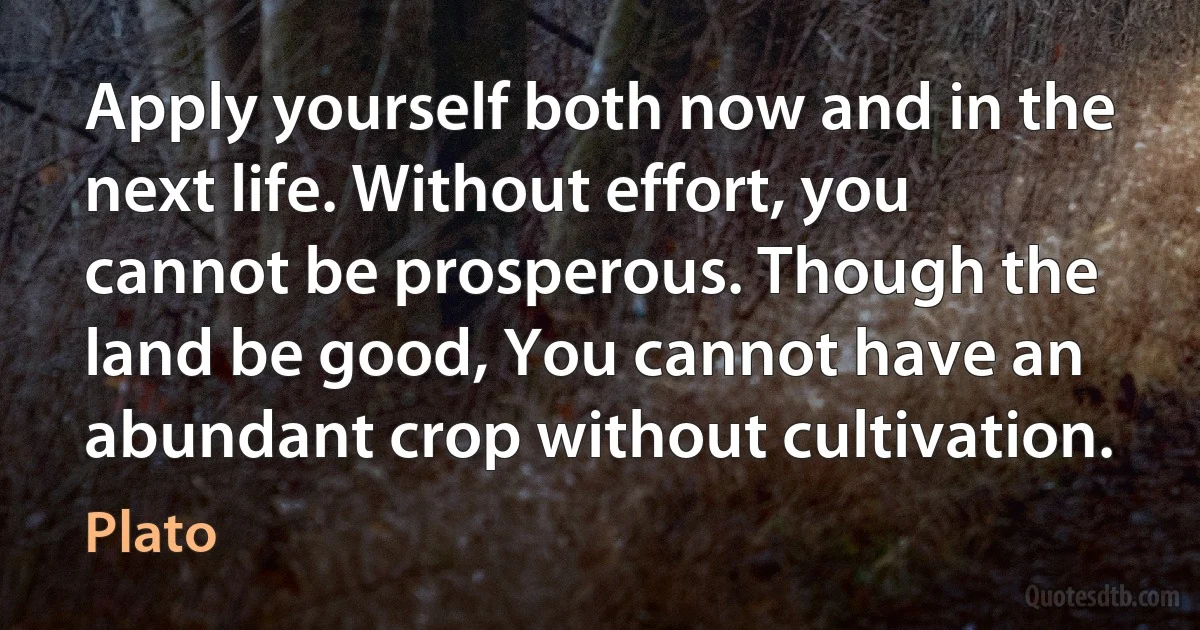 Apply yourself both now and in the next life. Without effort, you cannot be prosperous. Though the land be good, You cannot have an abundant crop without cultivation. (Plato)