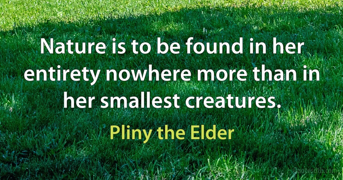 Nature is to be found in her entirety nowhere more than in her smallest creatures. (Pliny the Elder)