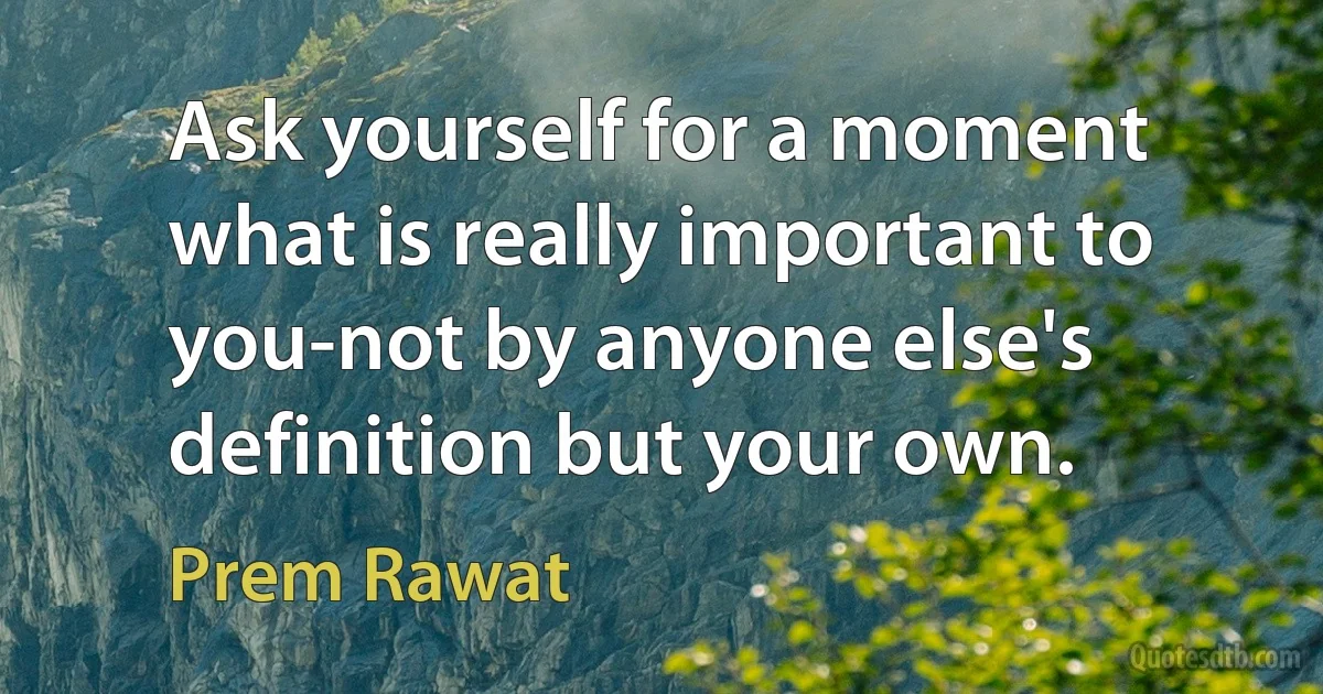 Ask yourself for a moment what is really important to you-not by anyone else's definition but your own. (Prem Rawat)