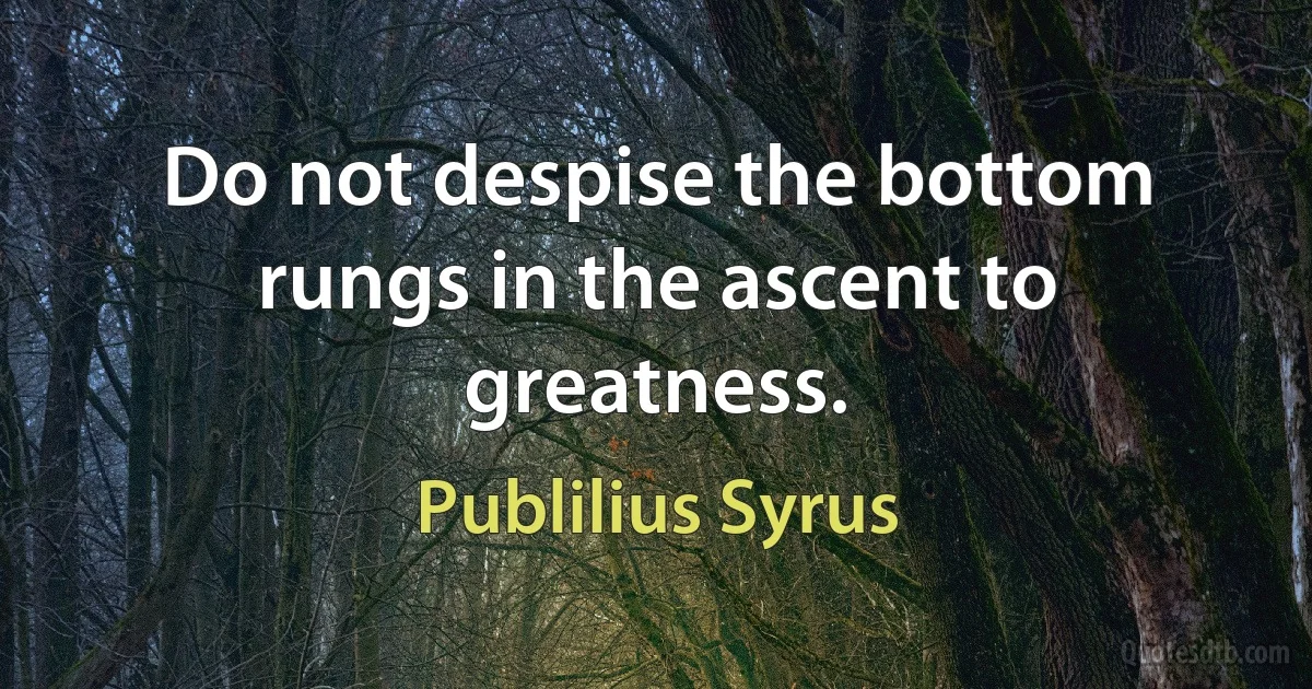 Do not despise the bottom rungs in the ascent to greatness. (Publilius Syrus)