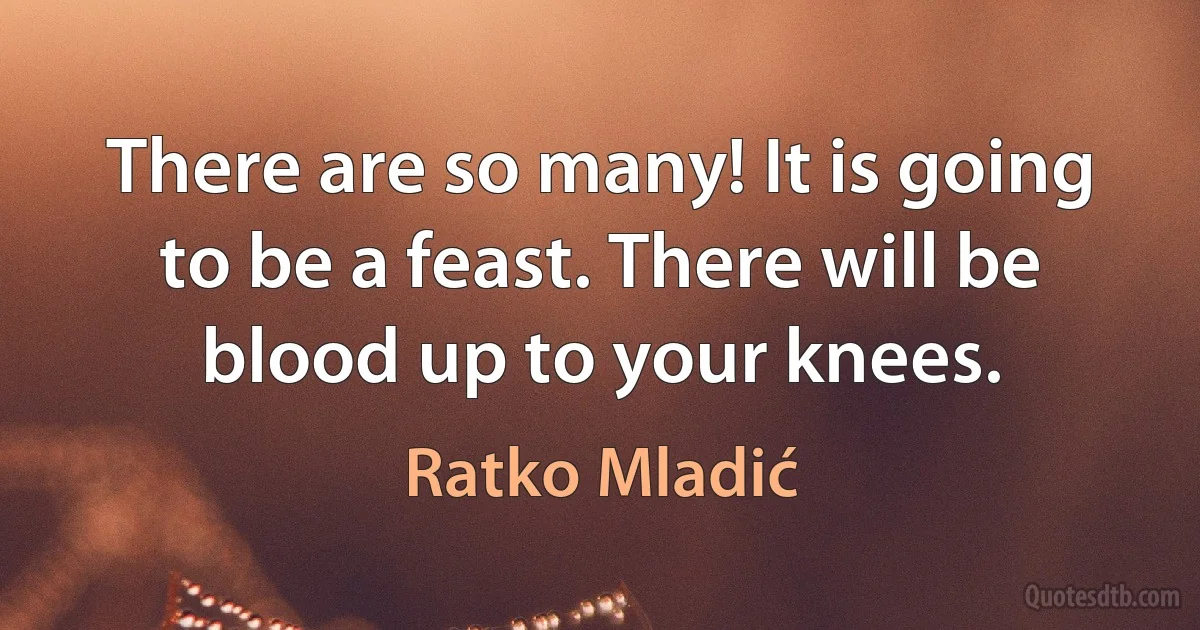 There are so many! It is going to be a feast. There will be blood up to your knees. (Ratko Mladić)