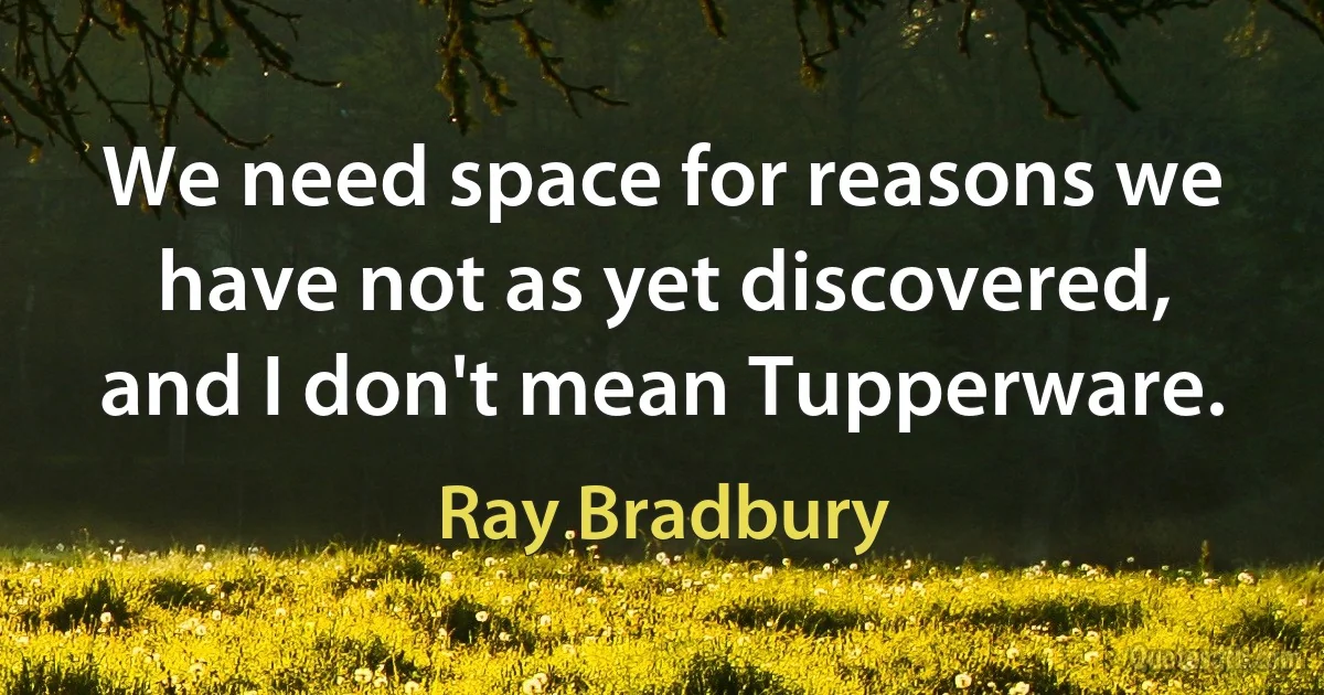 We need space for reasons we have not as yet discovered, and I don't mean Tupperware. (Ray Bradbury)