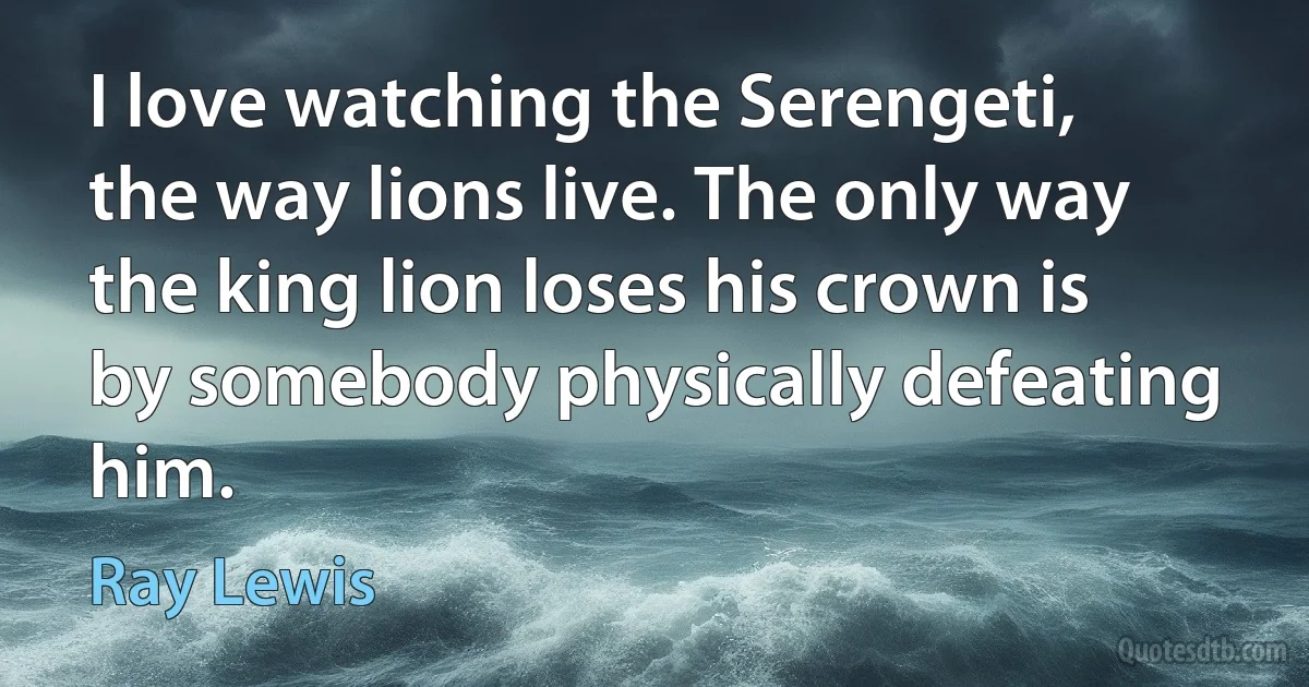 I love watching the Serengeti, the way lions live. The only way the king lion loses his crown is by somebody physically defeating him. (Ray Lewis)