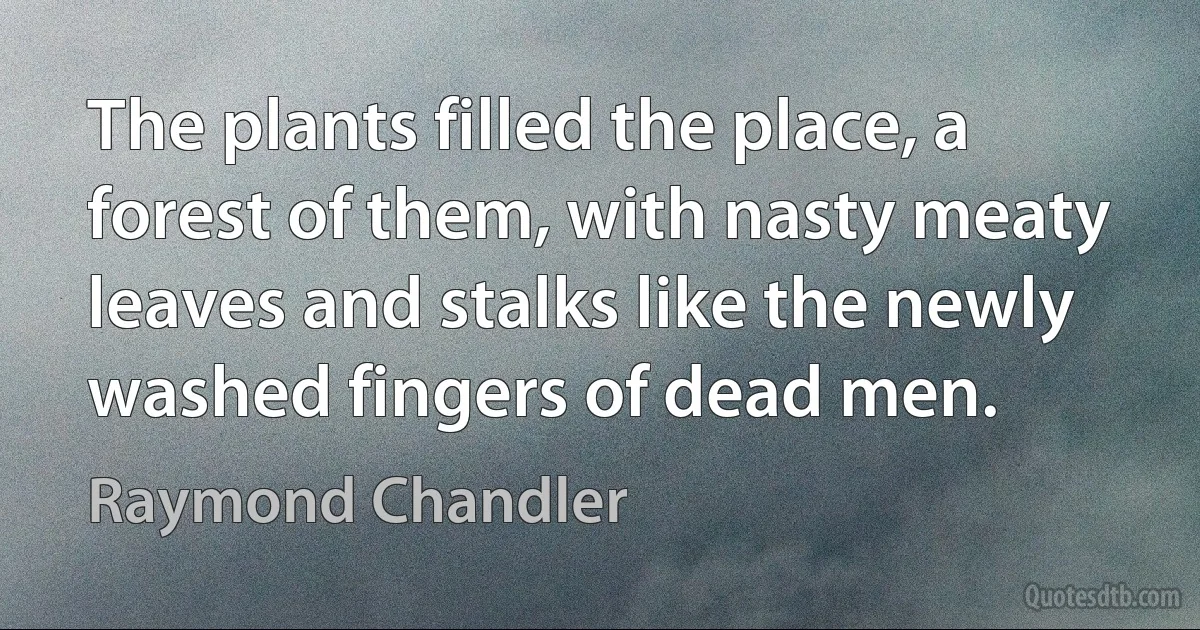 The plants filled the place, a forest of them, with nasty meaty leaves and stalks like the newly washed fingers of dead men. (Raymond Chandler)