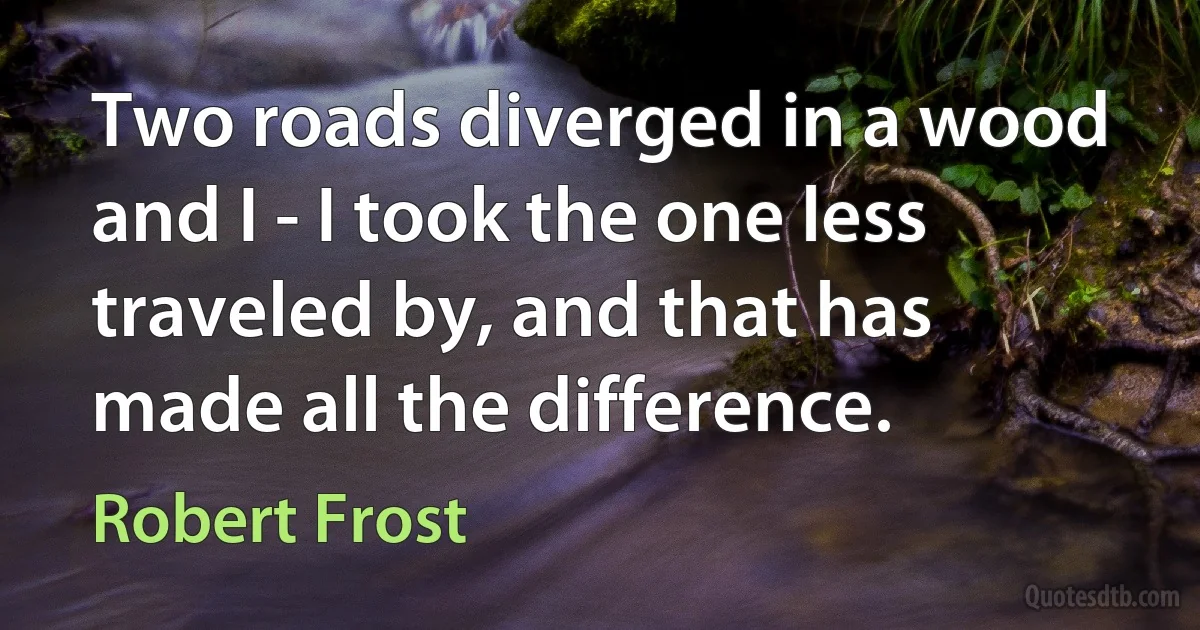 Two roads diverged in a wood and I - I took the one less traveled by, and that has made all the difference. (Robert Frost)