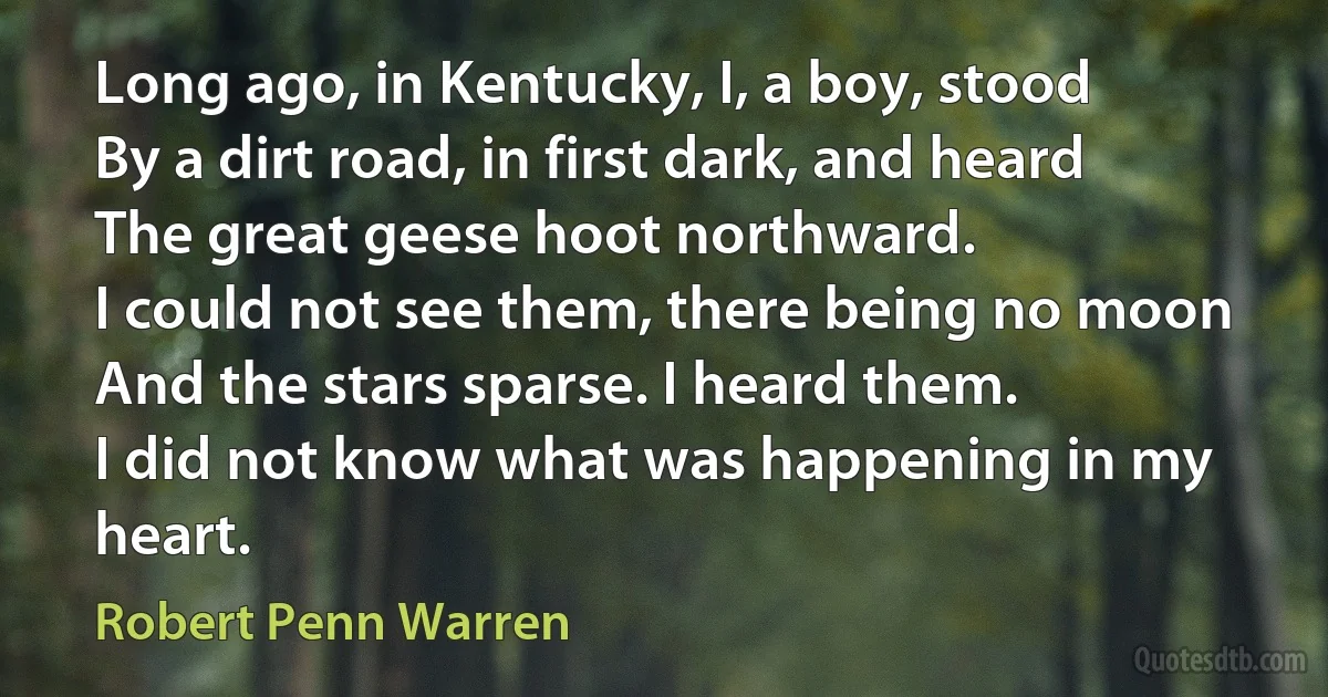 Long ago, in Kentucky, I, a boy, stood
By a dirt road, in first dark, and heard
The great geese hoot northward.
I could not see them, there being no moon
And the stars sparse. I heard them.
I did not know what was happening in my heart. (Robert Penn Warren)