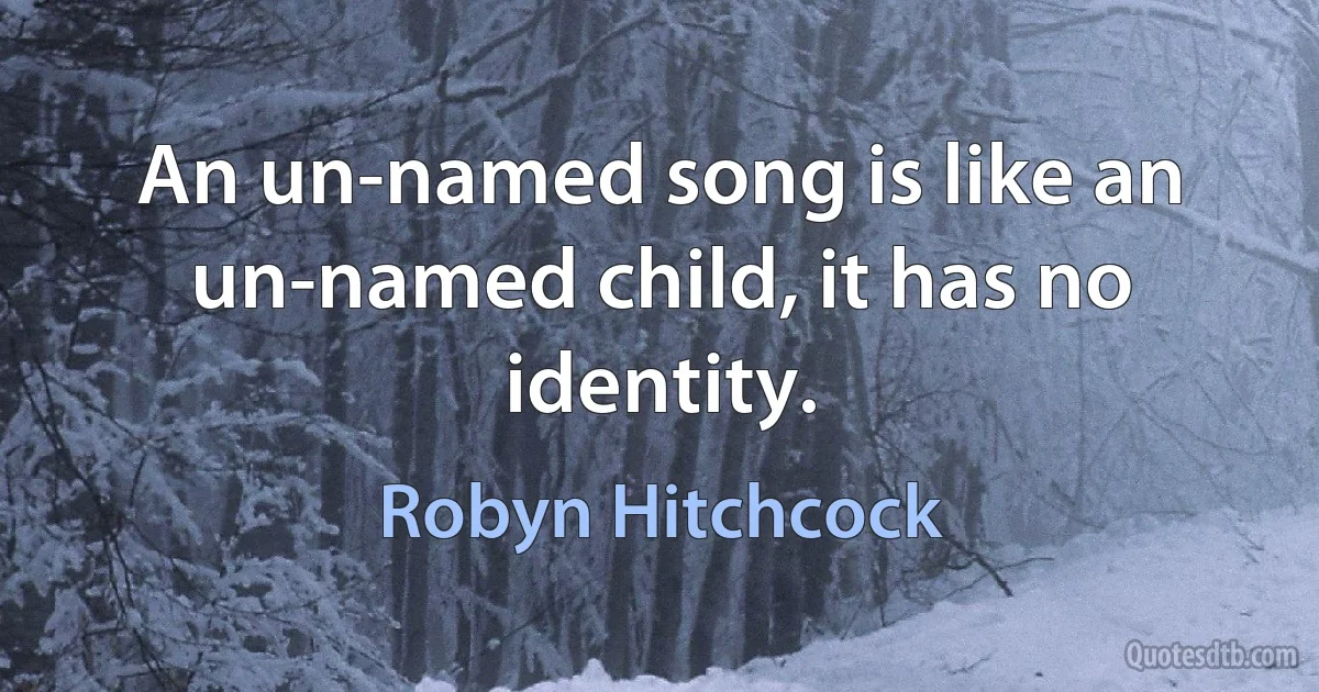 An un-named song is like an un-named child, it has no identity. (Robyn Hitchcock)