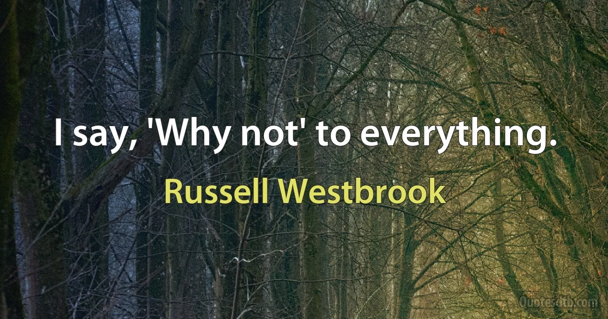 I say, 'Why not' to everything. (Russell Westbrook)