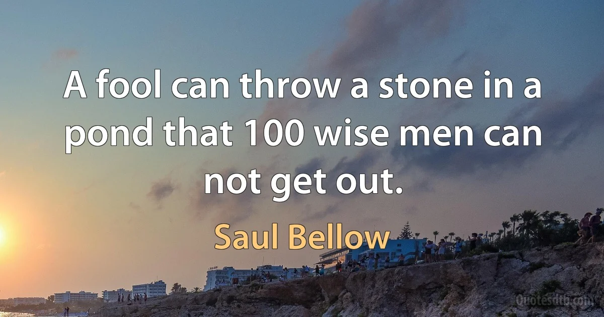 A fool can throw a stone in a pond that 100 wise men can not get out. (Saul Bellow)