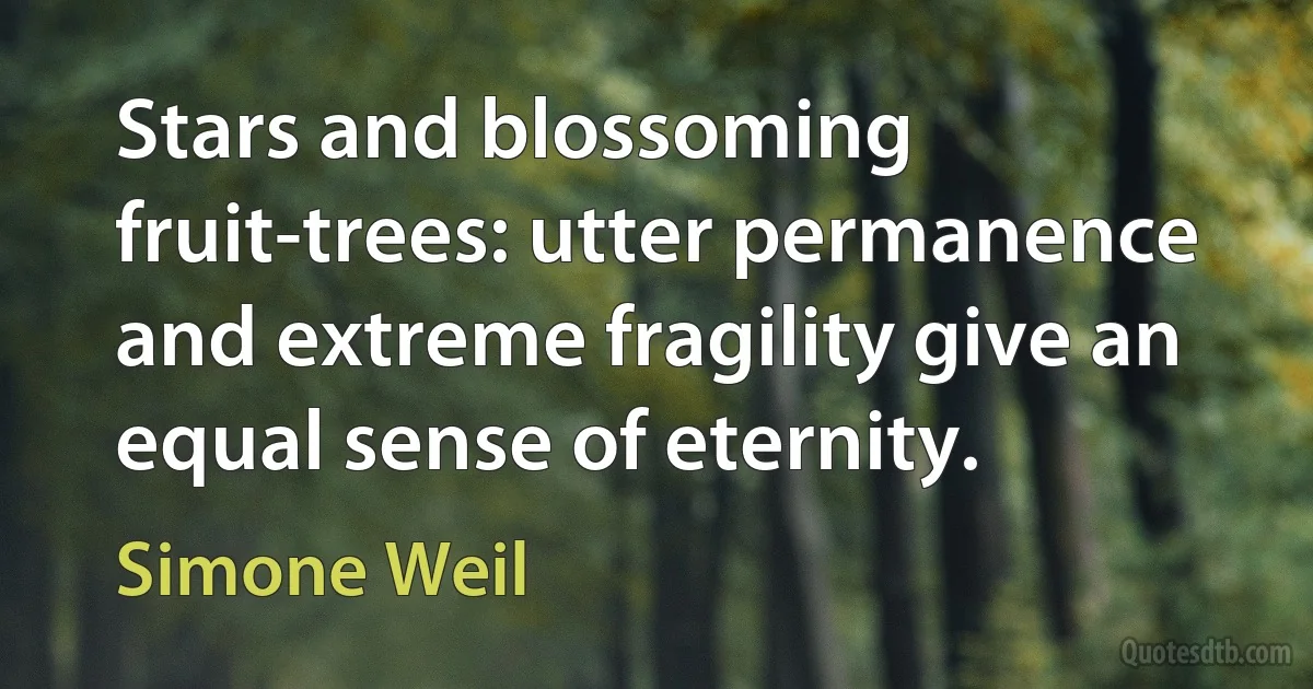 Stars and blossoming fruit-trees: utter permanence and extreme fragility give an equal sense of eternity. (Simone Weil)