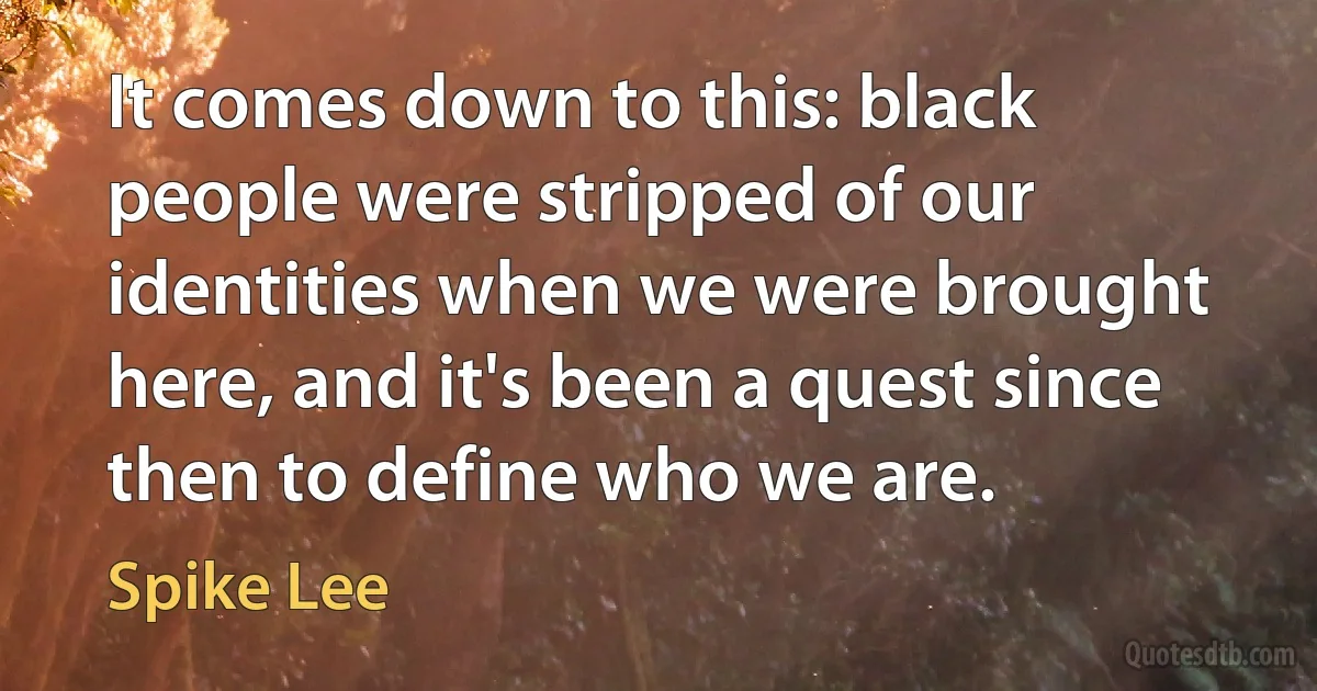 It comes down to this: black people were stripped of our identities when we were brought here, and it's been a quest since then to define who we are. (Spike Lee)