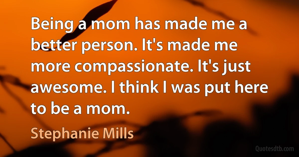 Being a mom has made me a better person. It's made me more compassionate. It's just awesome. I think I was put here to be a mom. (Stephanie Mills)