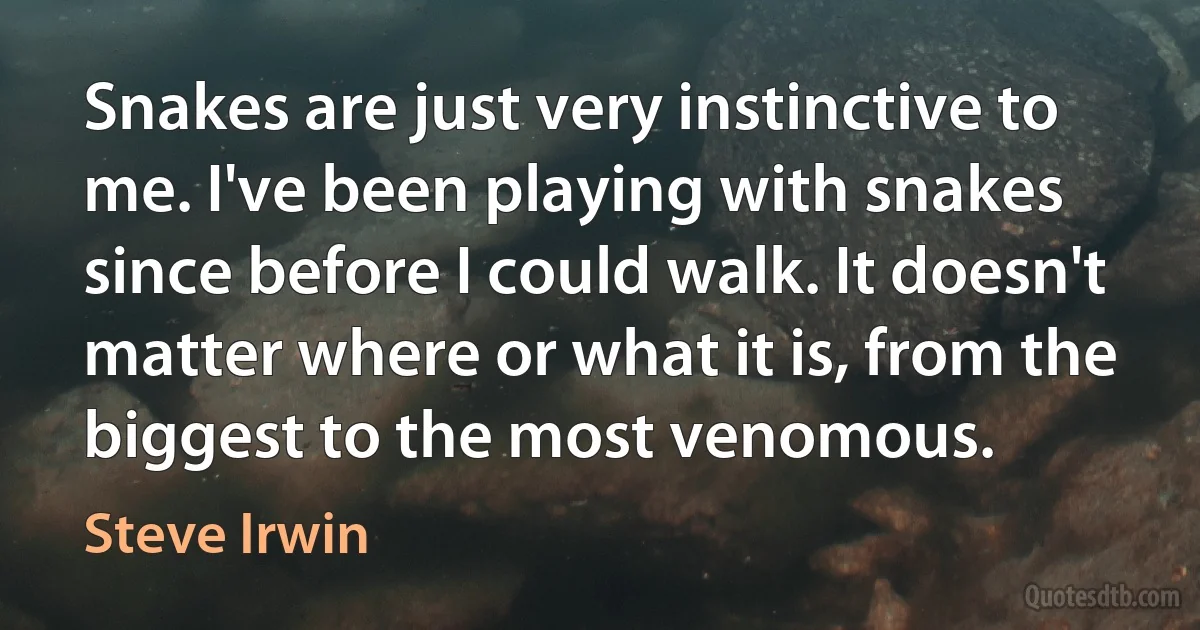 Snakes are just very instinctive to me. I've been playing with snakes since before I could walk. It doesn't matter where or what it is, from the biggest to the most venomous. (Steve Irwin)