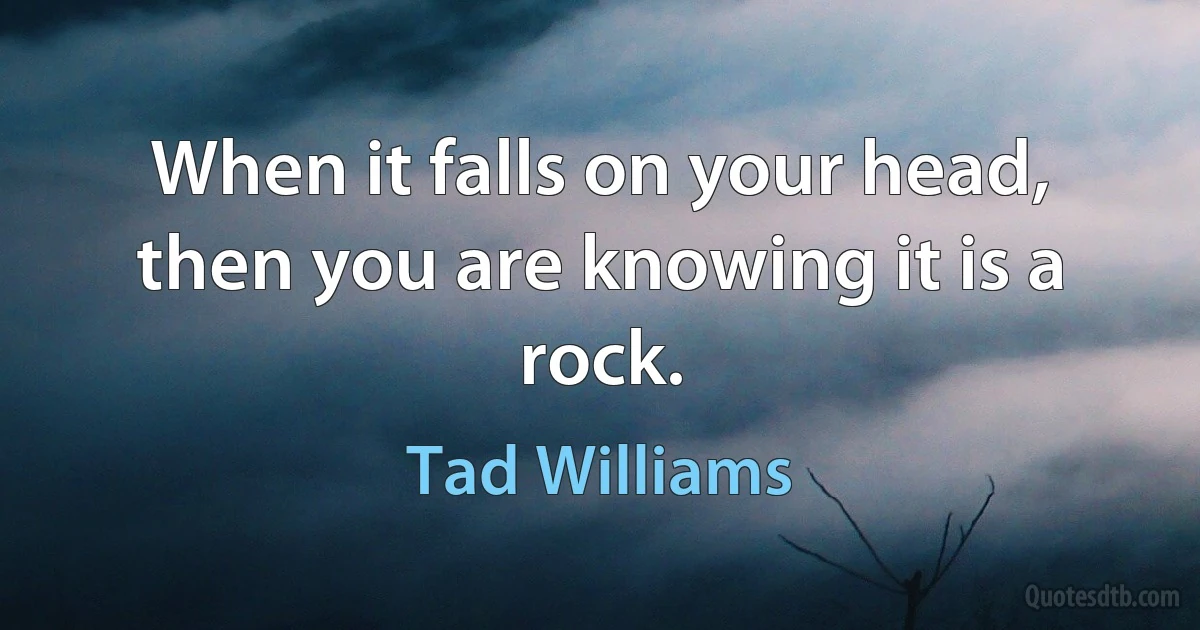 When it falls on your head, then you are knowing it is a rock. (Tad Williams)