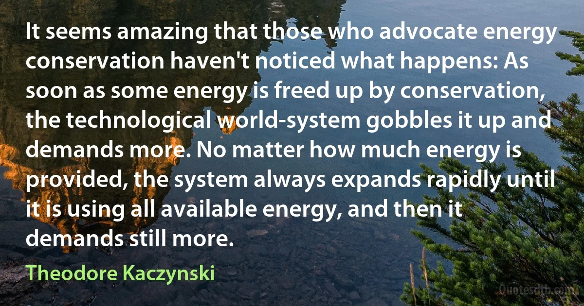 It seems amazing that those who advocate energy conservation haven't noticed what happens: As soon as some energy is freed up by conservation, the technological world-system gobbles it up and demands more. No matter how much energy is provided, the system always expands rapidly until it is using all available energy, and then it demands still more. (Theodore Kaczynski)