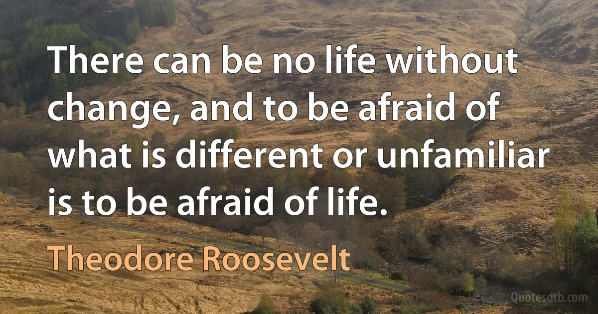 There can be no life without change, and to be afraid of what is different or unfamiliar is to be afraid of life. (Theodore Roosevelt)