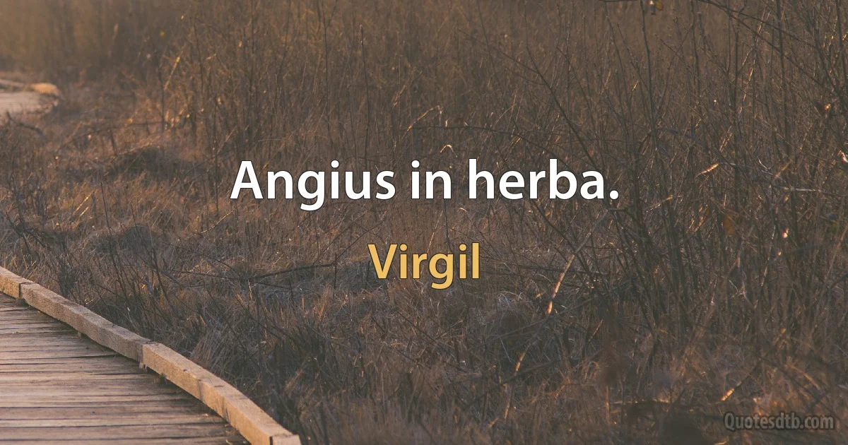 Angius in herba. (Virgil)